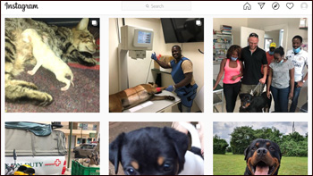 Follow us on instagram!